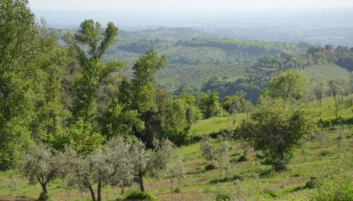 Casa Franceschini - Foto 3