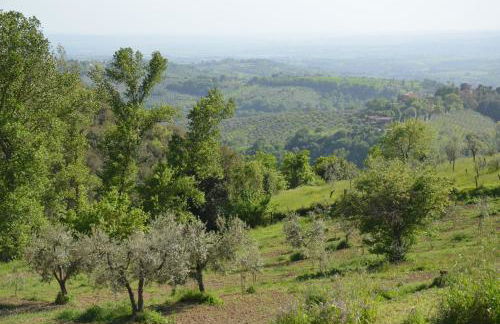 Casa Franceschini - Foto 3