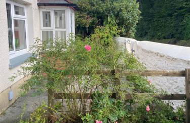 Newfoundland Cottage - Photo 36