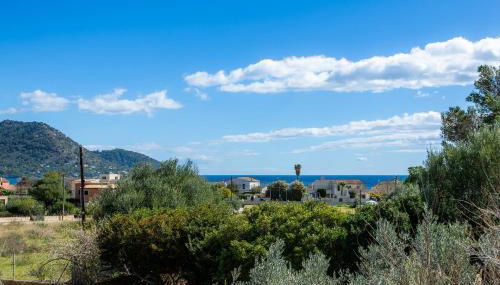 Ses Oliveres en Port Verd - Foto 3