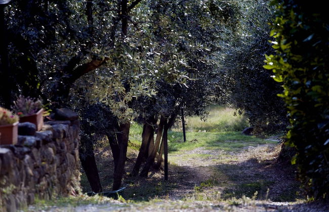 Agriturismo Il Bellini - Foto 50