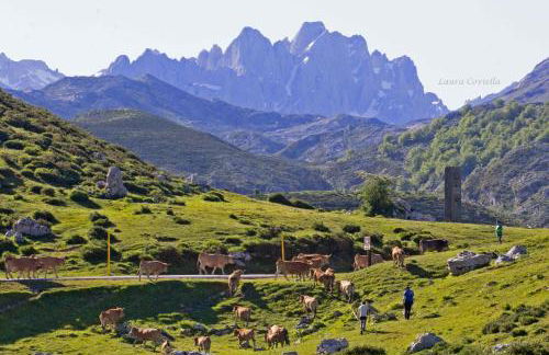 Los Campos Vivienda Vacacional - Foto 44