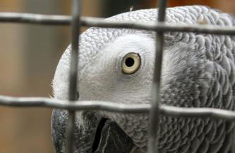 Bischofswerda Ferienwohnung Familienfreundlich Seniorengerecht - Foto 54