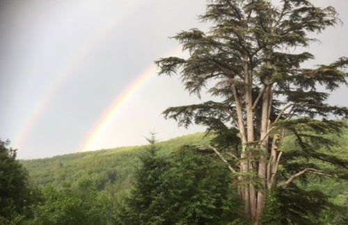 Domaine de Label, Spa, massages - Foto 57