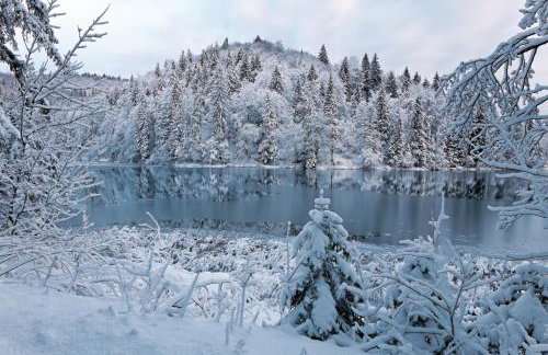 Apartment Mira - Foto 58