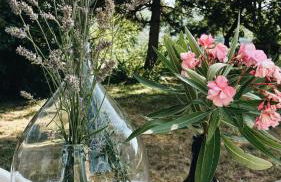 Il fienile di Cornazzano - Photo 13