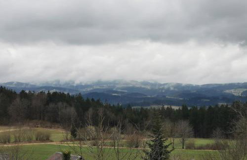 Ferienwohnungen Kremser bei Spiegelau Eppenschlag - Foto 45