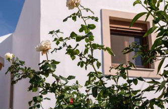 Serenity House - Magic sunsets - Foto 34