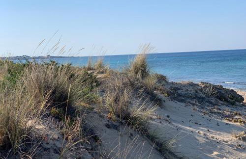 Salento Villa Cice, AC - WiFi - BBQ - attrezzatura da spiaggia - parcheggio privato sorvegliato, Due unità abitative indipendenti e giardino a due passi dal mare - Torre Ovo - Foto 69