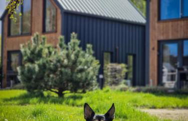 Domki w Naturze - Foto 76