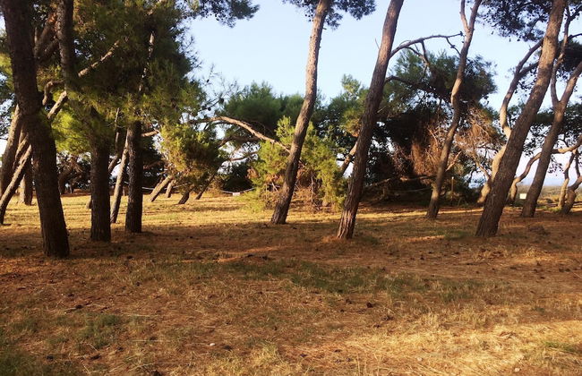 Holiday Home Picciano Near Medieval Towns - Foto 36