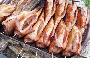 Tawerna Pod Kotwicą pokoje i domy wakacyjne - Foto 64