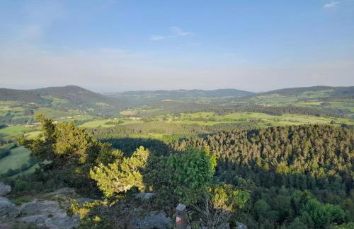 Charmante ferme rénovée, grand jardin, 8 chambres - FR-1-496-249 - Foto 32