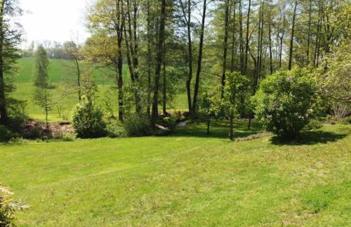 Comfortable Holiday Home in Saxony With Terrace - Foto 74