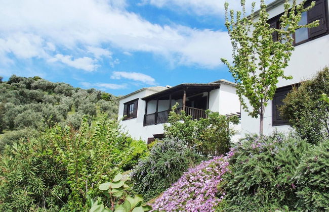 Traditional Luxury House In Pelion "erato" - Foto 13