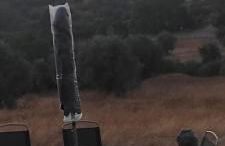 Nova Quinta Moderna TORRAMO em Oliveiras, Campo de Laranjas, na Nacional 2, Alentejo 13750 m2 - Foto 9