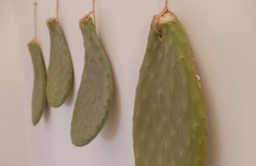 I trulli di Kate - Foto 43