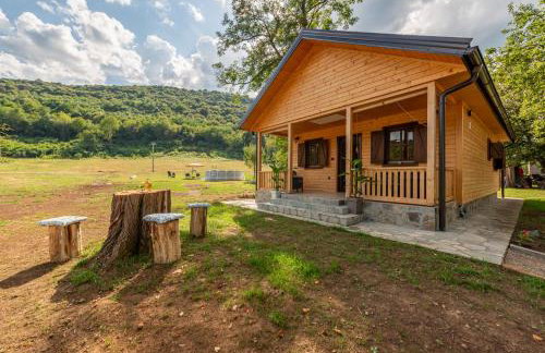 Forest Paradise - Foto 36