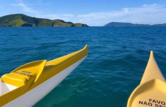 Flamboyant - Foto 11