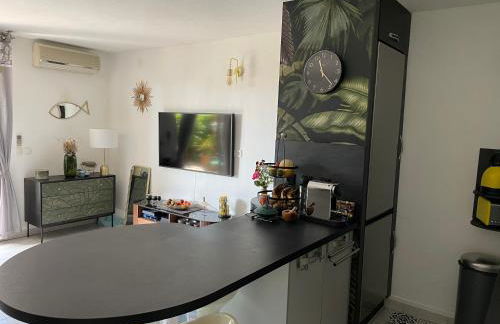 2 Pièces 45m2, Calme, Confort, Mer à 200m, Jardin, Terrasse, Piscine - Foto 17