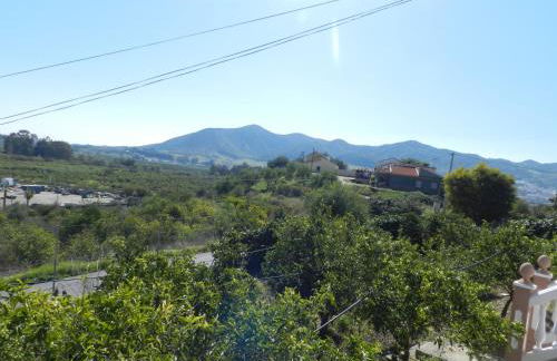 Hacienda Doña Lola - Foto 15