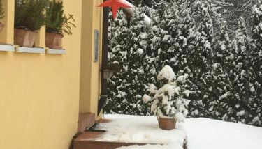 Schwarzwald light - Foto 2