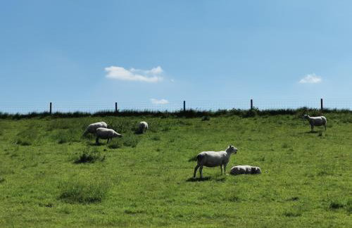 Ferienwohnung 1 Nordsee Gulfhof Dornum - mit großem Garten - Photo 9
