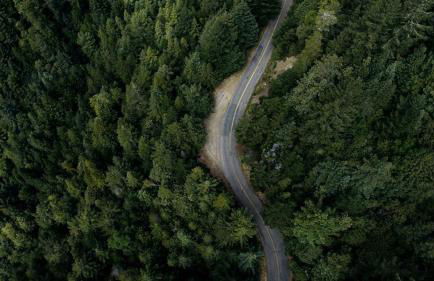 Incredible Campervan Rental Perfect for Exploring the San Francisco Bay Area - Foto 13