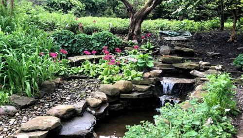 Old Orchard - Photo 1