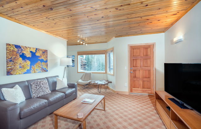 Ice House Suites and Condominiums - Foto 51