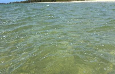 Aconchego by the lagoon - Foto 12