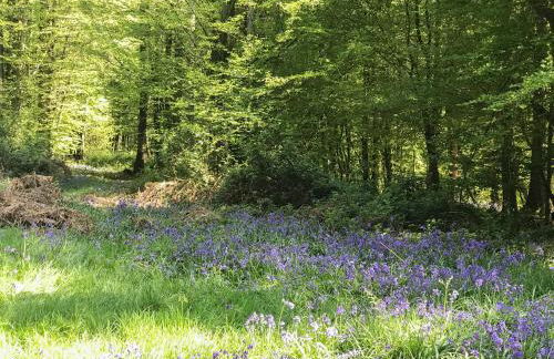 The Lodge At The Lake House - Foto 32