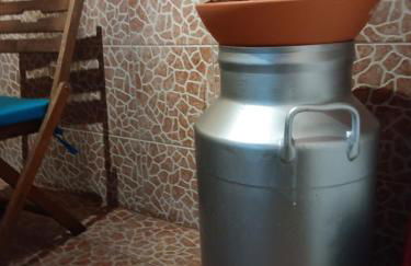 Casa da Rosarinha - Photo 3