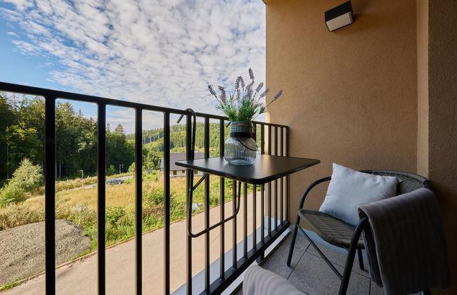 Černý Důl - Foto 24