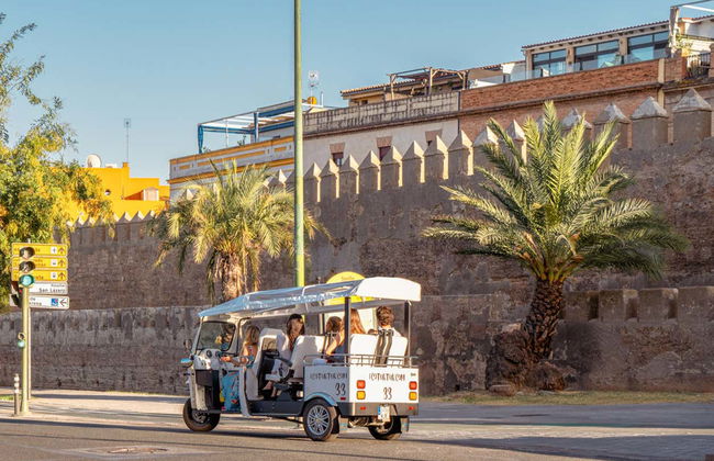 Seville Private Tuk-Tuk Tour - Foto 7