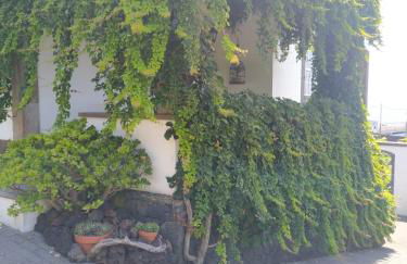 Casa Belcanto da Fajã - Photo 10