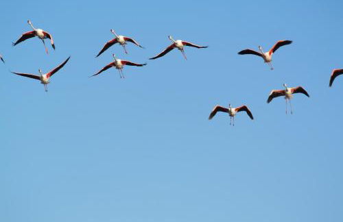 Casa L'ANGOLO FIORITO - Foto 26