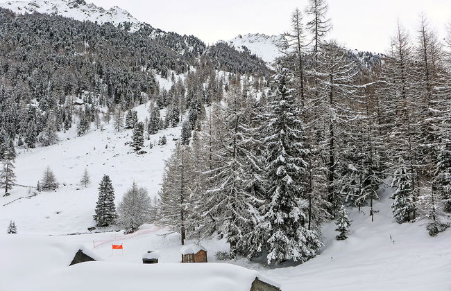 Mont Fort 16 - Foto 23