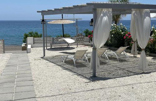 Summer Vibes - Photo 17