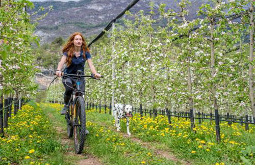 Agritur La Dolce Mela - Adults Only - Foto 63