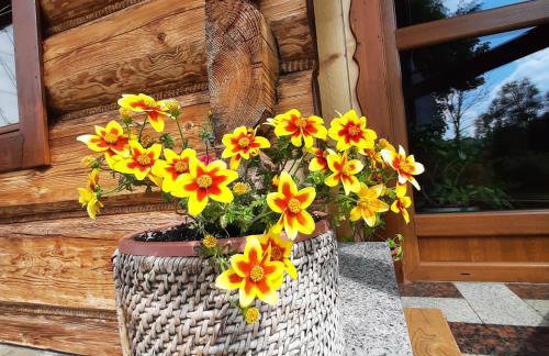 Miodowa Chata Pokoje Gościnne - Foto 29