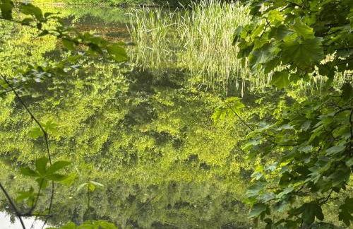 Ferienhaus Glücksmoment - Foto 44