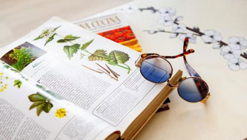 Raggio di sole, oasi di felicità - Foto 4