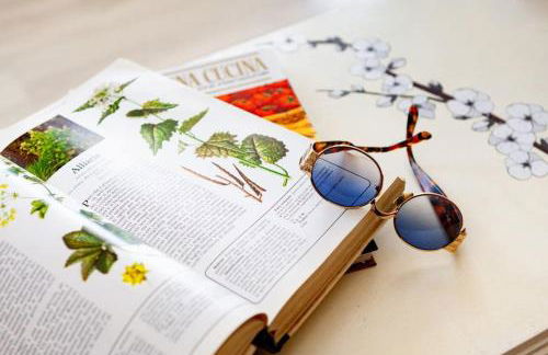 Raggio di sole, oasi di felicità - Foto 4