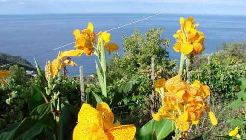 Case vacanza Reggimonti Cinque Terre - Foto 4