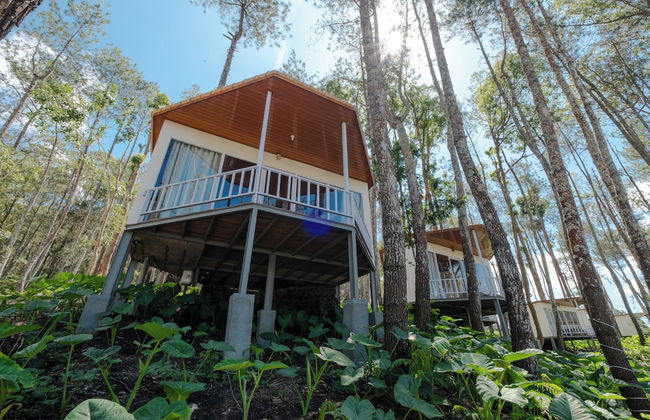 La Pino Mount Batur and Hot Spring - Foto 31