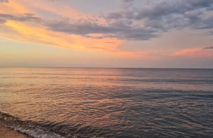 La becassine - Foto 6