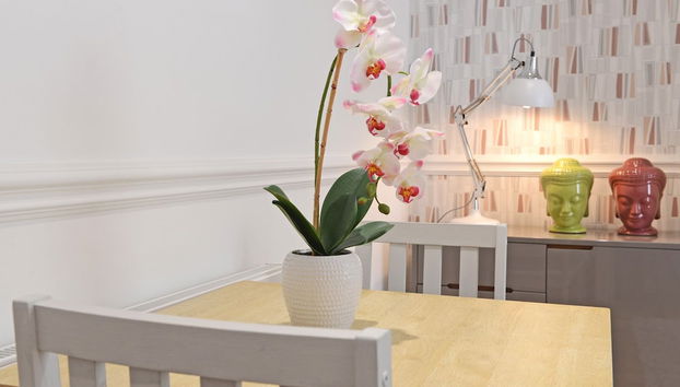 Servicio de comidas en la habitación