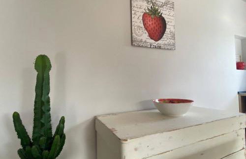 La casa delle fragole - Foto 15