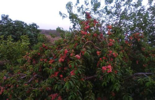 Casa de los abuelos - Foto 67